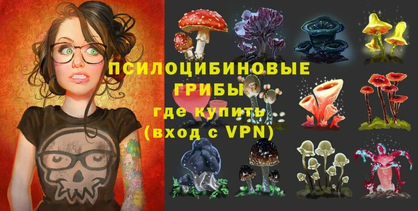 винт Богородицк