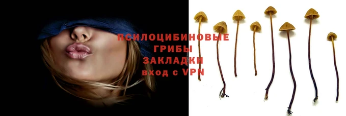 прущий лед Бородино