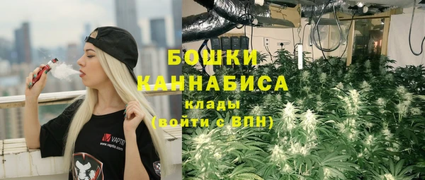 винт Богородицк