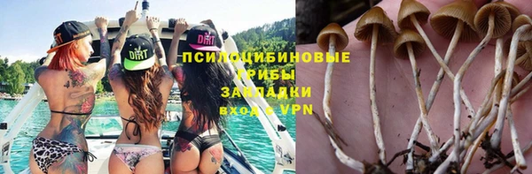 СК Богданович