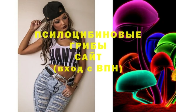 винт Богородицк